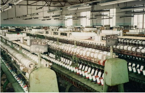 江苏新首富易主 低调的陈建华，超越刘强东的商业传奇