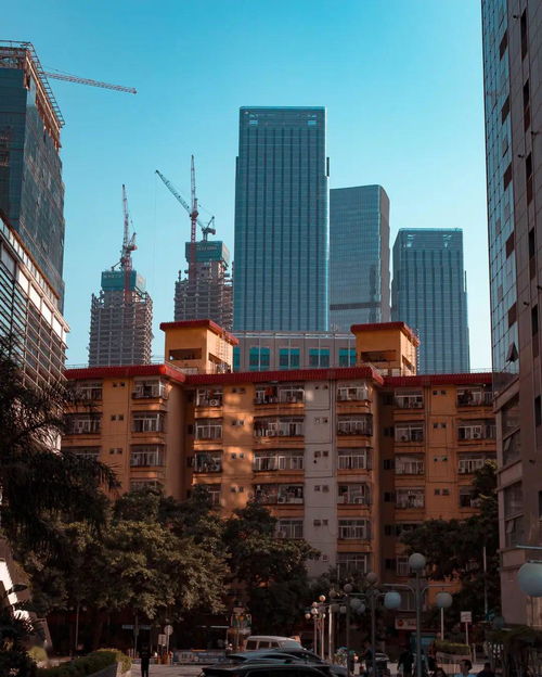 从南山到福永 深圳年轻人的跨城租房与通勤现实